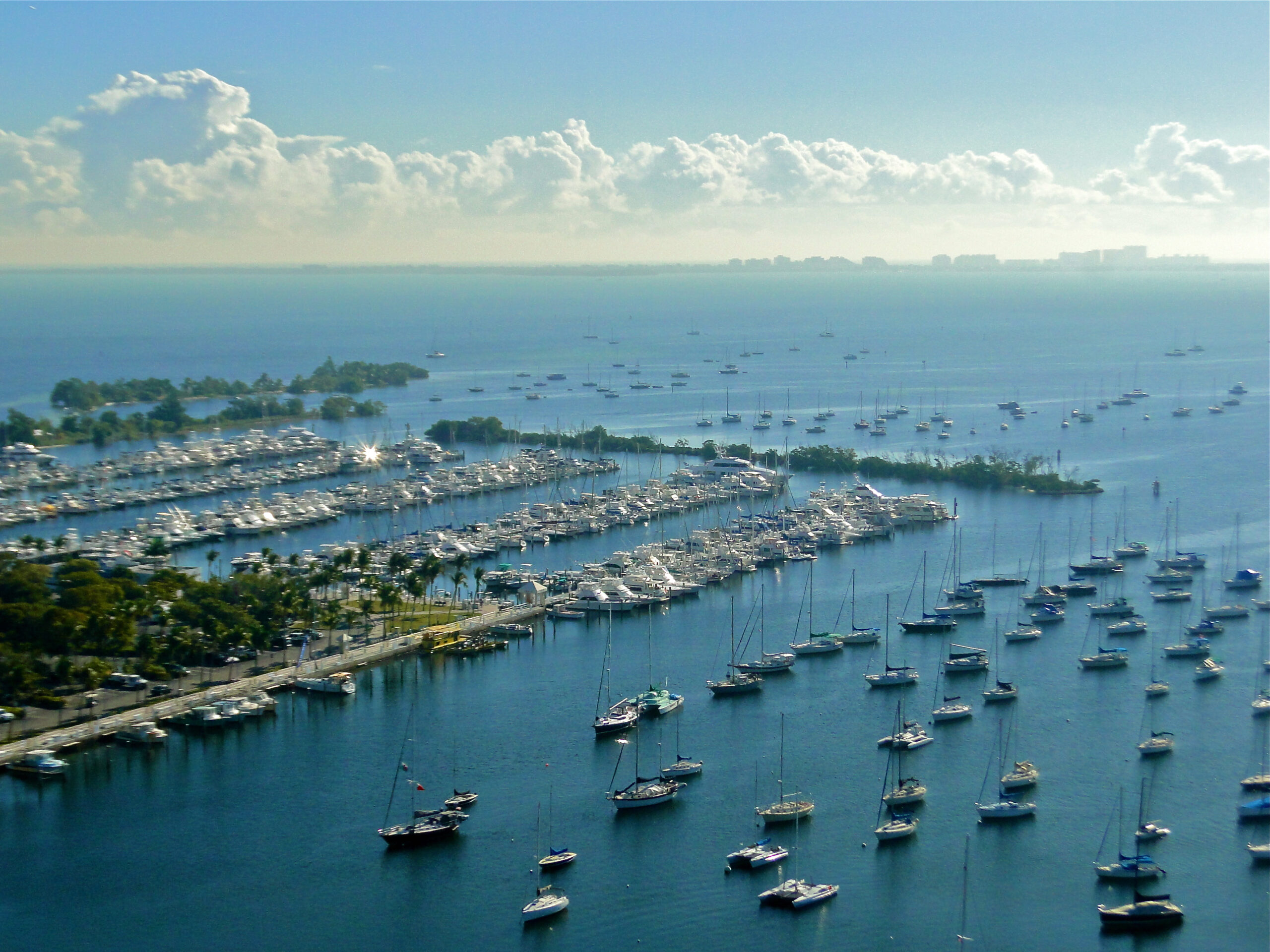 Nancy Batchelor on Coconut Grove